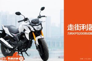 LF200-10RKPS200����(33��)