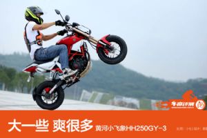 HH250GY-3ͼƬ����(37��)