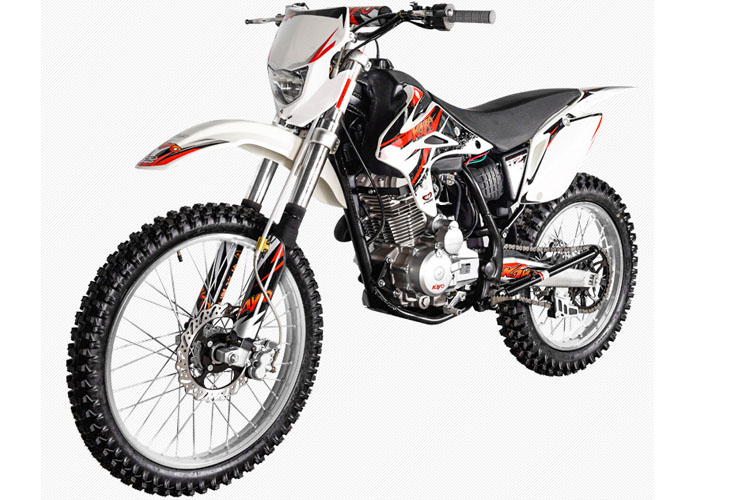 ����  T2 2019�� 