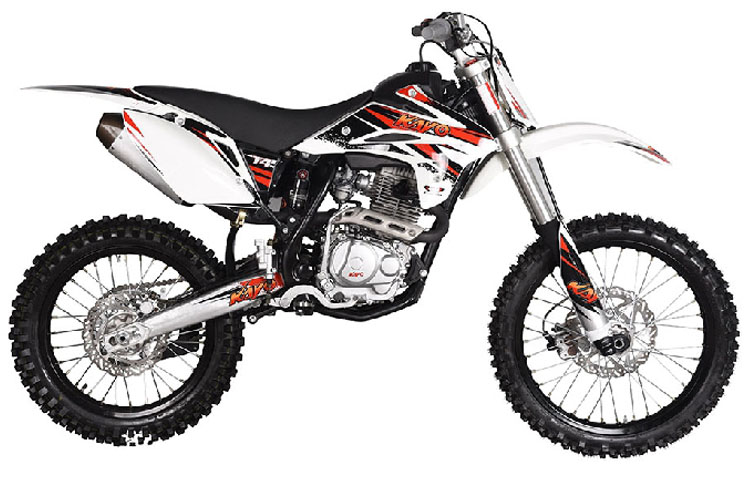 ����  T4 2019�� 