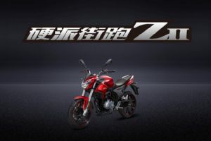 Z2 ZS200-76(19)