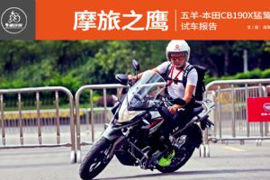 CB190XĦ��֮ӥ ����-����CB190X�������(48��)