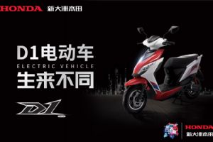 D1��������(12��)