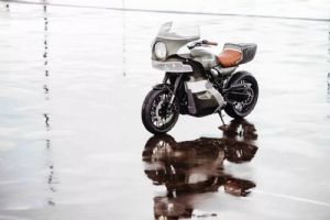 Z900RS��������� ����Z900RS��THE GOOSE��(7��)