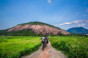 DL250������� ��������֮�õ��弾���ģ�Day 2��(8��)