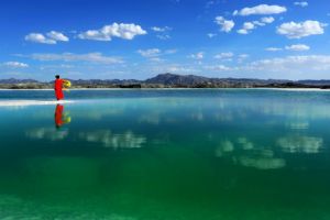 CBF150R SDH150-25���������(30��)