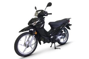 ������ľ