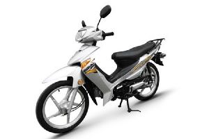 ������ľ