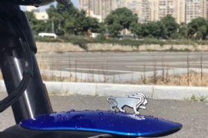 Leoncino��ʨ ������BJ500-E��װ����(9��)
