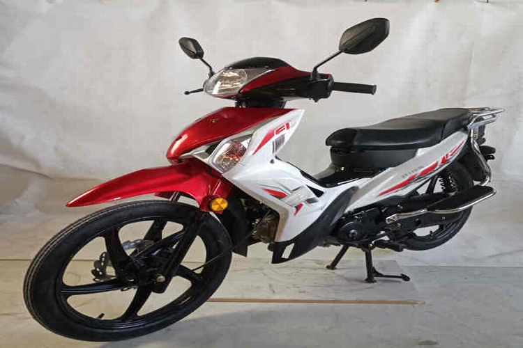 ��� ZF110-10