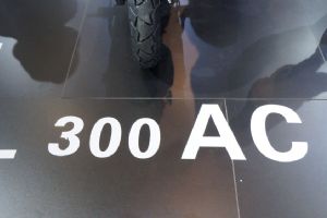 300AC2019Ħ���� �޼�300AC(11��)