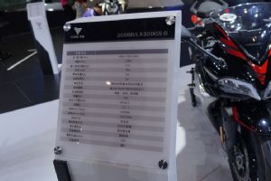 300RR2019Ħ���� �޼�300RR(6��)