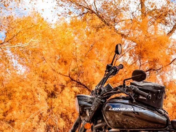 ����V;250iABS�����ȫ�������ۼ�19800