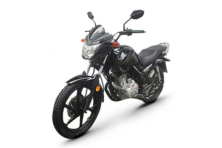 ��� ZF150-19