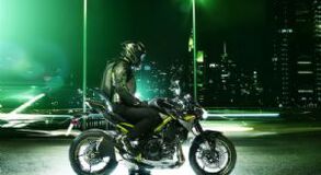 Z900����ͼ��(13��)