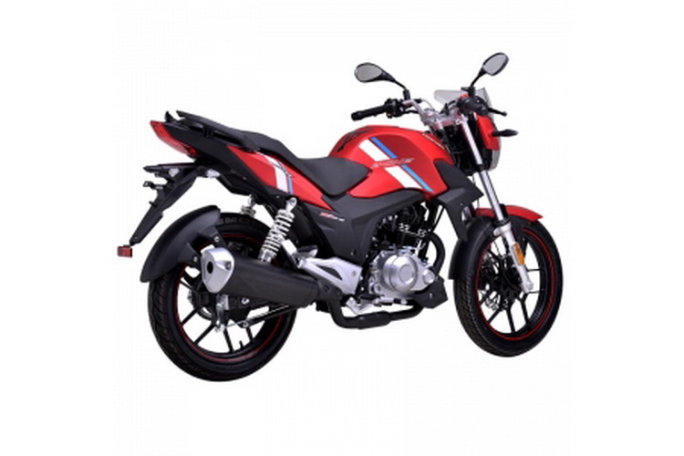 ���� Z-one2019��