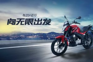 Z0Ʒͼ(24)