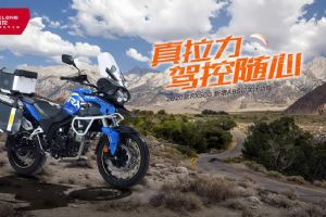 2020RX500Ʒֲ(17)