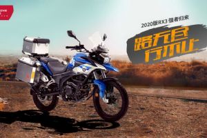 2020RX3ZS250GY-3Ʒֲ(20)