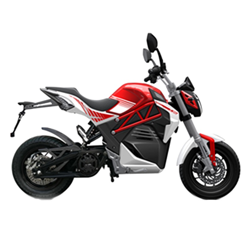 ɭ�� Z1����(2019&nbsp������)