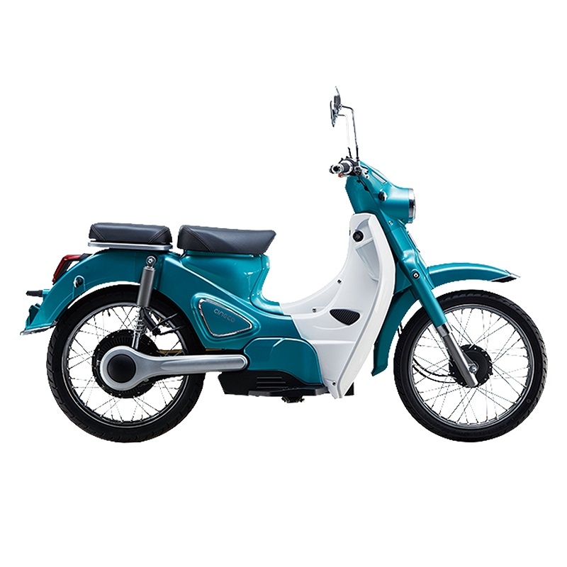 ɭ�� B1����(2019&nbsp������)