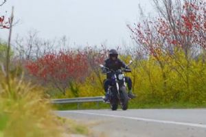 ŵ��̨��300̫������һ��׷������